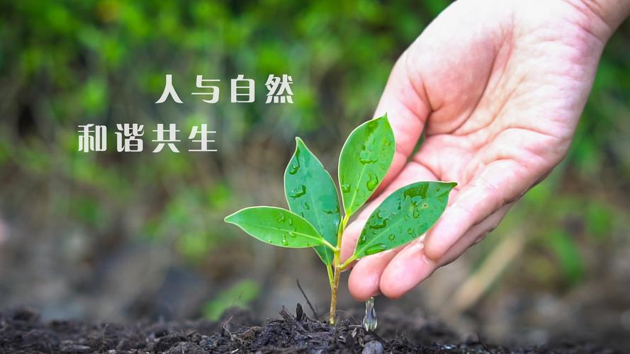 ut88.com(中国区)-官网